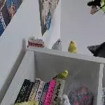 Lesen macht Spaß