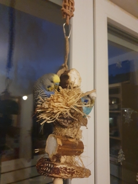 Klettern am Spielzeug