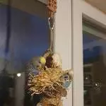 Klettern am Spielzeug