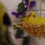 AAAAAAAAAAAAA