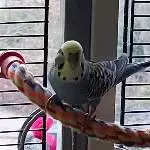 Das ist Juri, er singt sehr harmonisch