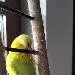 Sunny