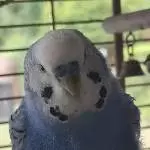 Mein kleiner Flauschkeks