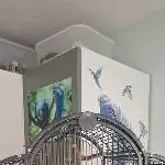 Wer ist da in meinem Käfig?