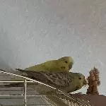 Ella und Sunny