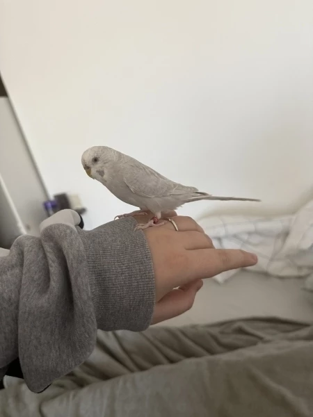 Das ist Coco!