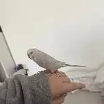 Das ist Coco!