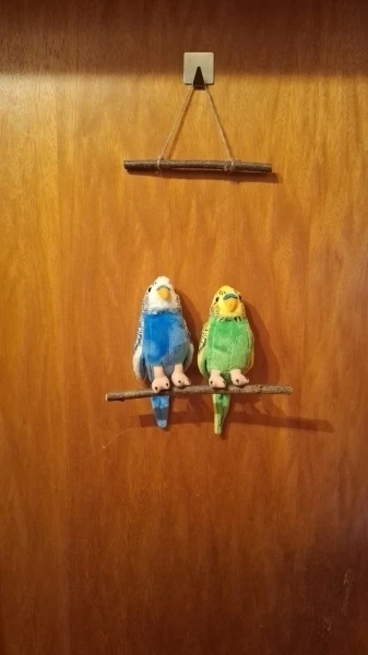 Wellensittich-Bild: Schild mit Sky und Kiwi.
Damit jeder weiß wo man unterhalten wird.