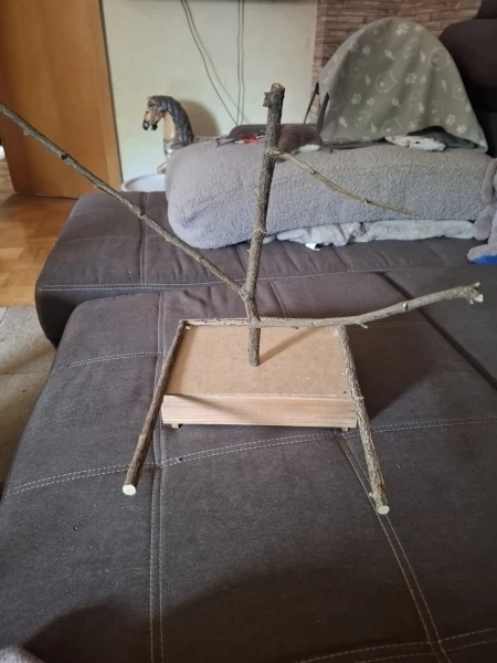Wellensittich-Bild: Eine kleine Holzkiste halbiert und 2 kleine Welli-Lande- Plätze für die Wand gemacht. Hier eine davon.