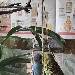 Das ist Bruderliebe