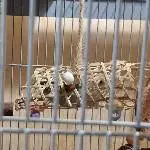Welli-Wrap