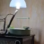Vogeldusche
