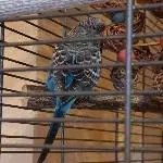 Krümel in der Ecke 