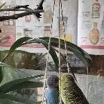 Das ist Bruderliebe
