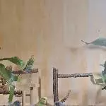 Einer erzählt