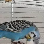 Thats the spot
