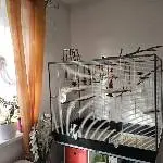 Käfig mit Klyde