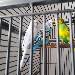 Hinter Gittern