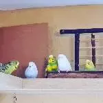 Familienportrait