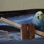 Irgendwas fehlt