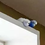 Krethi flauscht übers Geländer