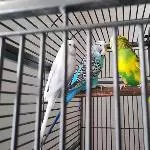 Hinter Gittern