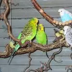Gruppenbild 