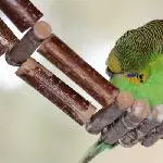 Nalchen