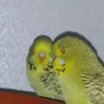 Bella und Pepe