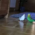 Lara und Bobby