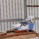 Ein Omi Päuschen
