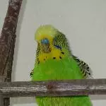 Verdreckt