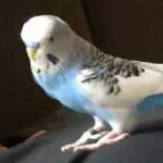 Mein Schatz