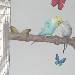 Blue und Kiki beim knutschen
