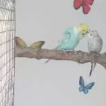 Blue und Kiki beim knutschen