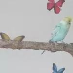 Blue und Kiki