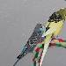 Flugpause am besten Platz 