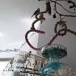 Das neue Vogelplanschbecken! 