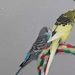 Flugpause am besten Platz 