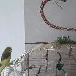 Verstecken spielen 