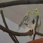 Elsa und Kalle