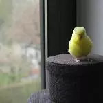Die kleine Hexe