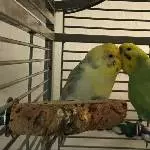 Ich hab Dich sooo lieb