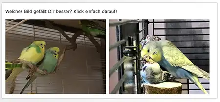 Lust auf Bilder