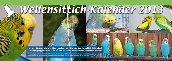 Wellensittichkalender 2013 Deckblatt