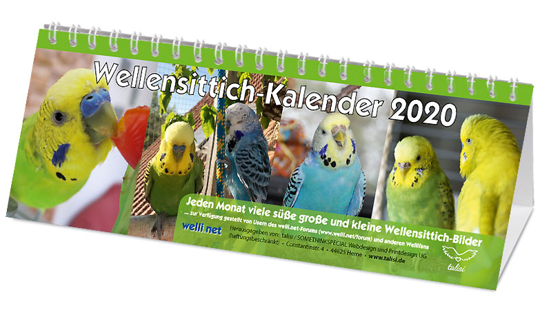 Wellensittich-Kalender 2019