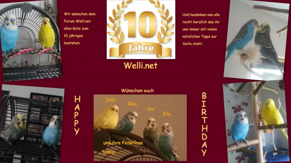 Habe die Collage erstellt weil ich Welli.net recht herzlich zum 10 jährigem bestehen gratulieren möchte. Darauf sind alle meine Schützlinge zu sehen. 
Happy Birthday