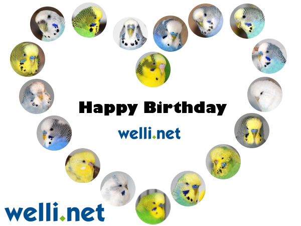 Herzlichen Glückwunsch Welli.net zu deinem Geburtstag! Auf viele weitere schöne gemeinsame Jahre.