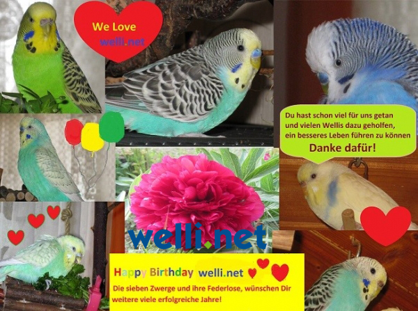 welli.net - Herzlichen Glückwunsch zum Geburtstag, auf weitere schöne und erfolgreiche Jahre mit Dir und den welli.netten!