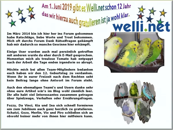 Gratulation zu 12 Jahren Welli.net
